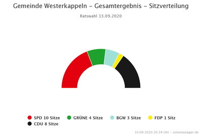 Rat - Wahl 2020