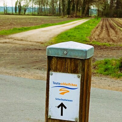 Schachselwiesen