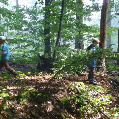 Wald Kinder