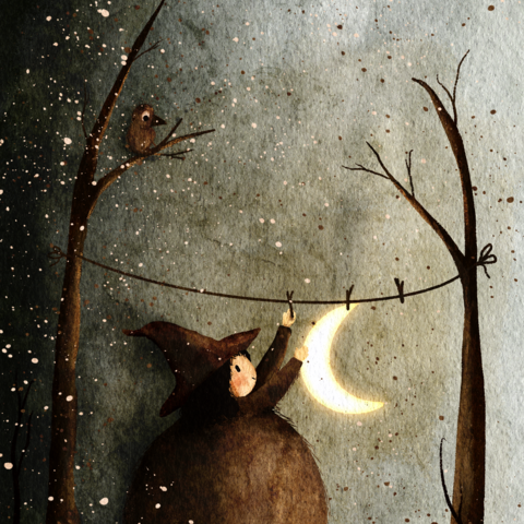 Wald Nacht Mond
