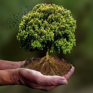 Klimaanpassung
