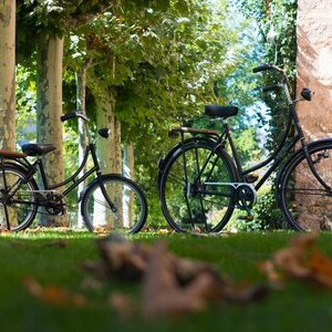 Fahrrad