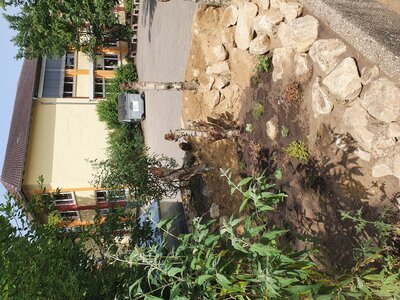 Wildbieneninsel