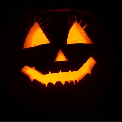 Kürbis Schnitzen Halloween