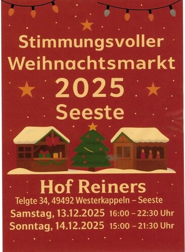 Weihnachtsmarkt 13