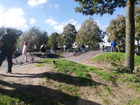Pumptrack_mit Baum