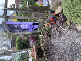 IMG_0710