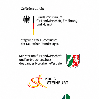 Förderung