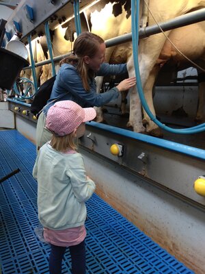 Milch Hof Leyschulte/Steer