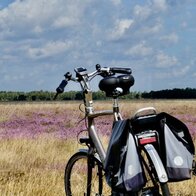 Fahrrad in Heidelandschaft