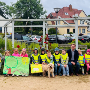 Grüne Meile Zuschnitt
