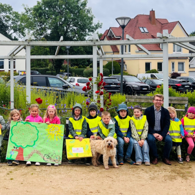 Grüne Meile Zuschnitt