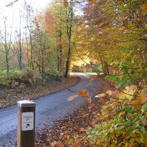 Sloopsteener Seerunde