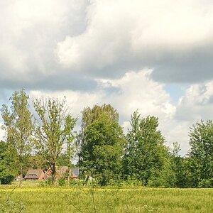 Kachel Natur