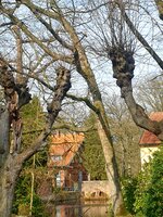 Garten Haus Cappeln