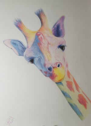 Giraffe gezeichnet